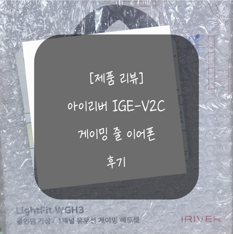 [제품 리뷰] 직장인 이어폰 추천! 사무실 유선 줄 이어폰 아이리버 IGE-V2C (WGH3) 후기