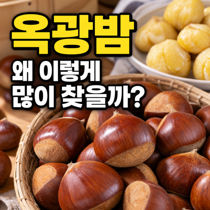 옥광밤 특징 "왜 많이 찾을까? 수확시기와 맛있는 밤 고르는 법"