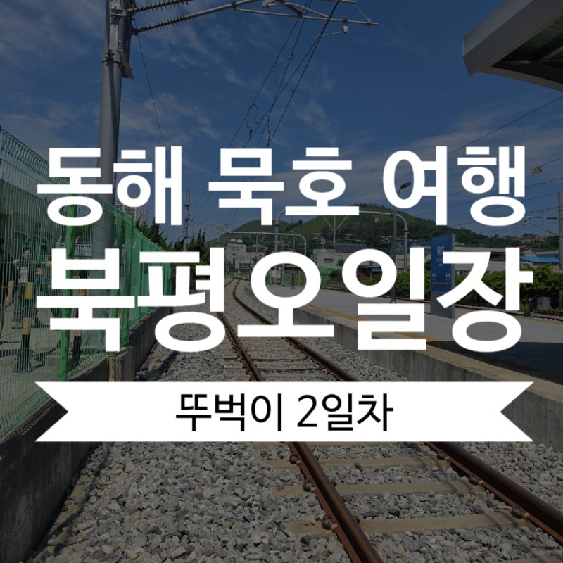 동해 묵호 뚜벅이 여행 2일차｜천곡황금박쥐동굴과 북평민속시장 장날