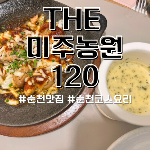 순천 닭 코스요리 전문점 오마카세 The미주농원120 현지인이 추천하는 맛집