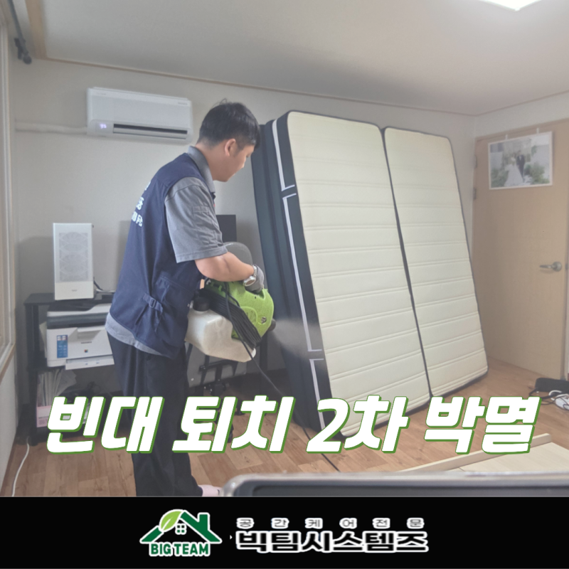 빈대 2차 방역 후기 침대 프레임 속에 숨어 밤마다 물림 피해 해결! 머리맡 틈새까지 뜯어내....