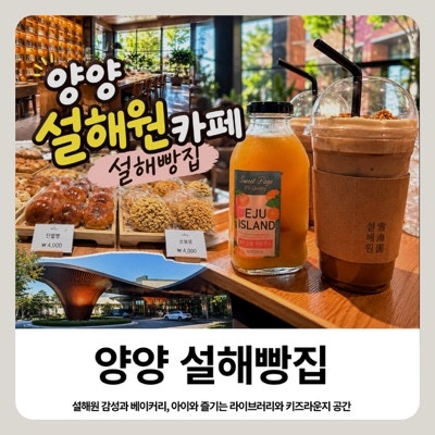 양양 설해원 카페 설해빵집 메뉴 가격, 키즈라운지까지 아이와 가볼만한곳
