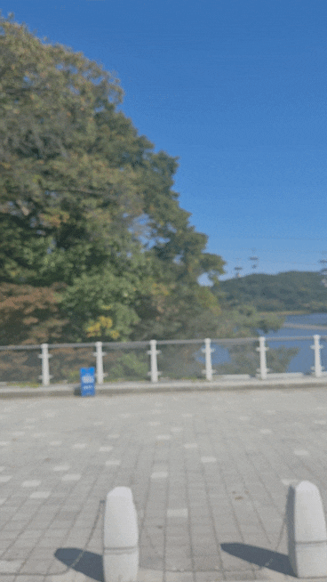 서울대공원 코끼리열차 노선 가격 탑승 장소 정보 서울랜드 동물원 리프트 패키지