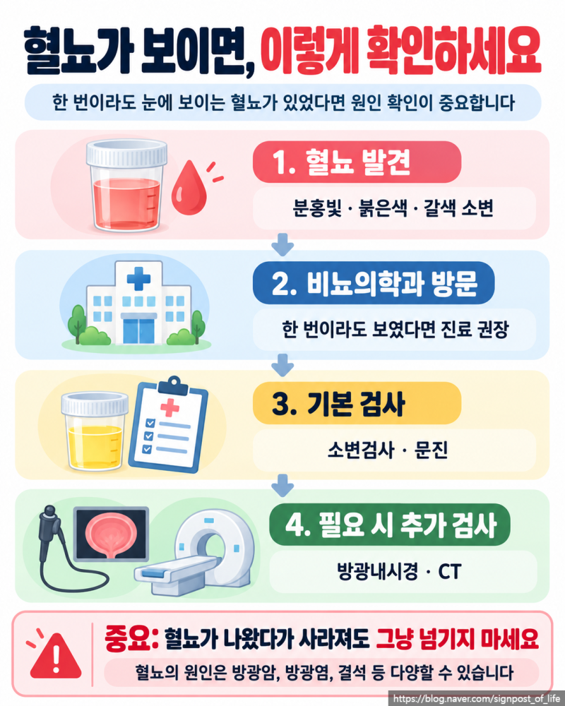 방광암 초기증상혈뇨가 나오면 방광암일까?