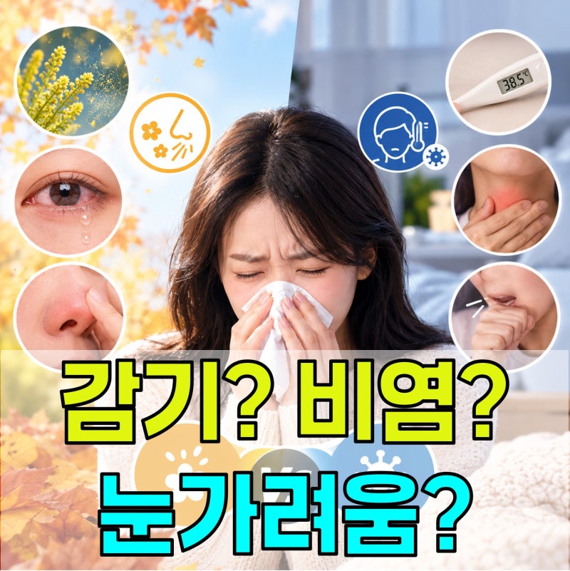 재채기·콧물·코막힘이 계속된다면 감기일까 비염일까?,,눈까지 가렵다면?