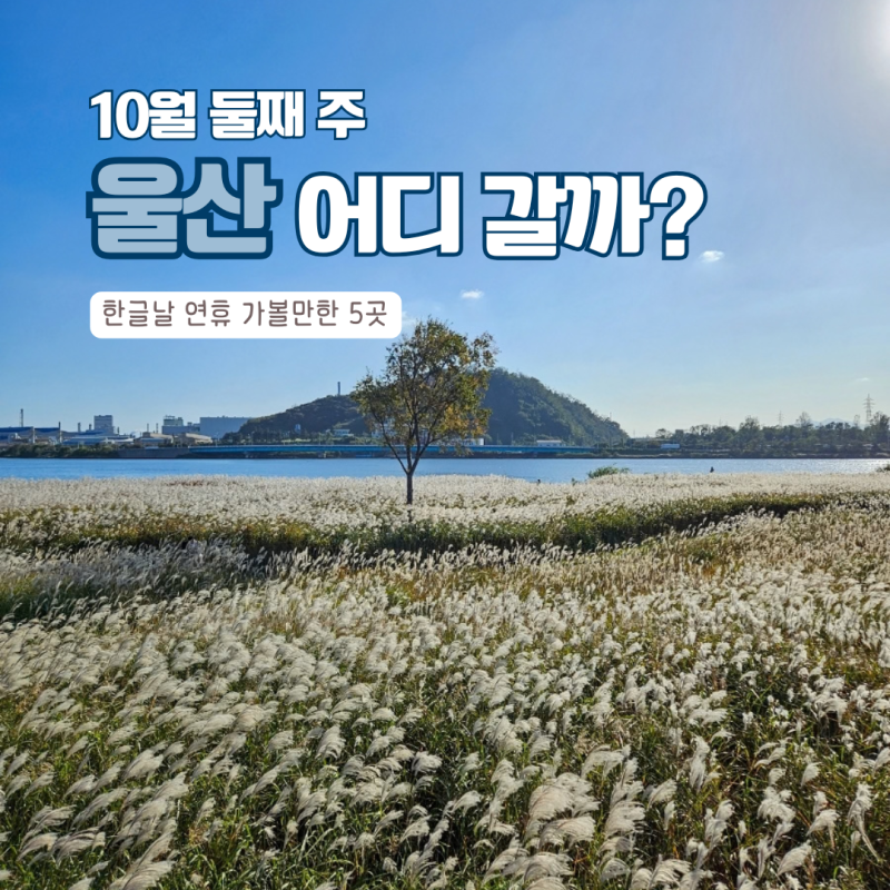 2026 한글날 연휴 울산 가볼만한곳 5곳 | 10월 둘째 주 축제·행사