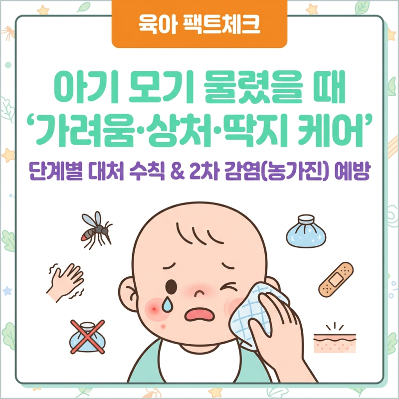 아기 모기 물렸을 때! 가려움·상처·딱지 단계별 대처법 & 농가진 예방 수칙