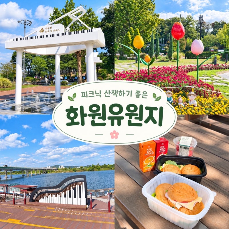 화원유원지 사문진나루터 산책 피크닉 나들이명소 대구근교여행지