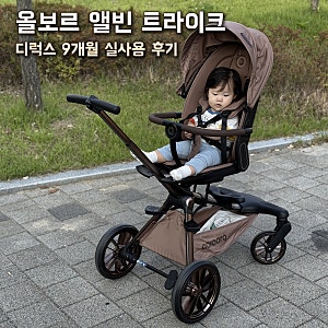 올보르 앨빈 트라이크 디럭스 후기, 스토케 요요3 쓰다 갈아탄 이유