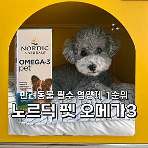 강아지 고양이 오메가3 추천! 노르딕 내추럴스 펫 오메가3 솔직 급여후기