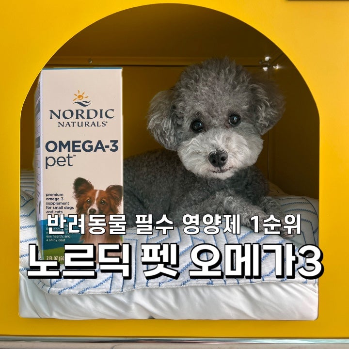 강아지 고양이 오메가3 추천! 노르딕 내추럴스 펫 오메가3 솔직 급여후기