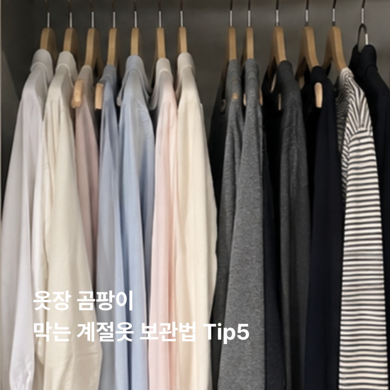 '옷장에 이것부터 넣으면 곰팡이 생깁니다' 계절옷 보관 전 꿀팁 5가지