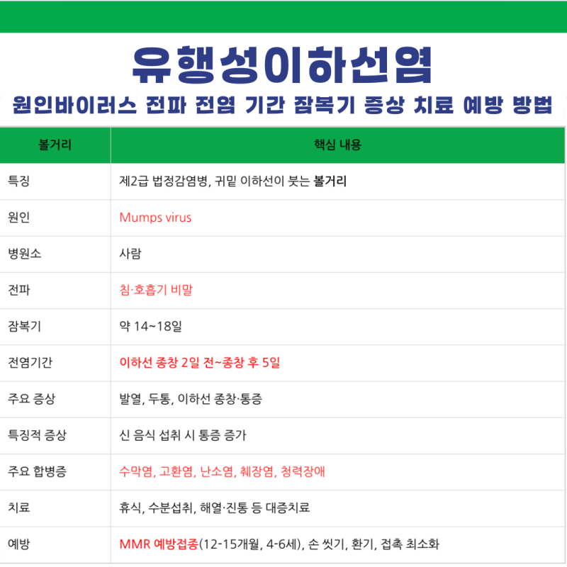 유행성이하선염 볼거리 원인바이러스 전파 전염 격리 기간 잠복기 증상 치료 방법 예방접종