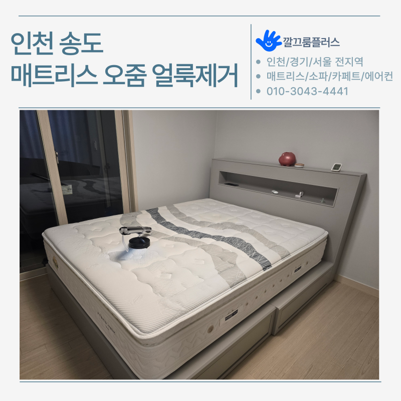 반년만에 다시 매트리스 청소한 이유 | 인천 연수구 송도 오줌 얼룩, 냄새 제거 침대 클리닝