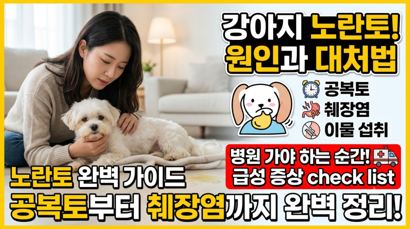 강아지 노란토 원인과 대처법! 공복토부터 췌장염·이물 섭취 증상 및 병원 가야 하는 순간 ....