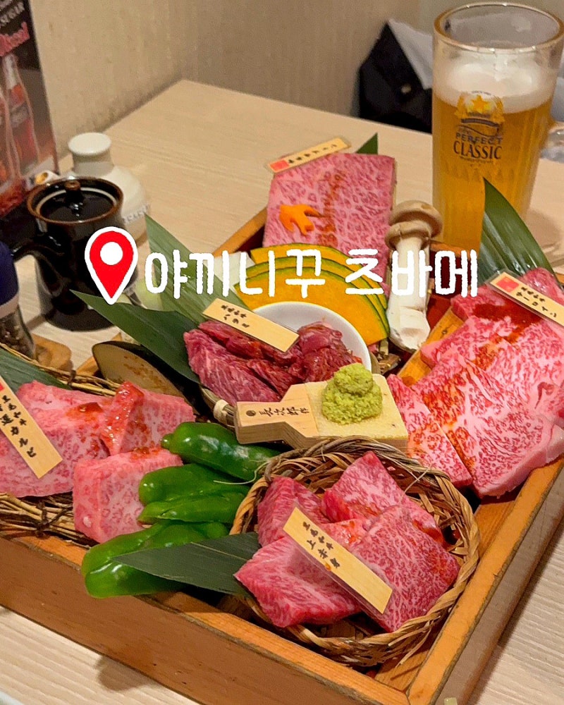 삿포로 맛집｜예약 필수 스스키노 야끼니꾸 맛집 ‘츠바메’｜예약방법·와규 5종 후기