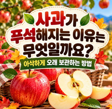 사과가 푸석해지는 이유는 무엇일까요?｜아삭하게 오래 보관하는 방법