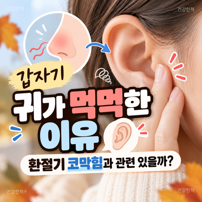 갑자기 귀가 먹먹한 이유, 환절기 코막힘과 관련 있을까?