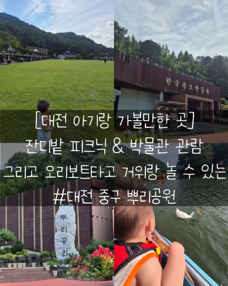 [대전 아기와 가볼만한 곳] 잔디밭 피크닉 & 박물관 무료관람 & 오리보트까지 즐기는 뿌리공....