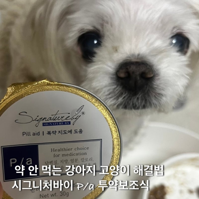 약 안 먹는 반려견 반려묘 필수템?｜시그니처바이 P/A 처방캔으로 약 먹이기 꿀팁