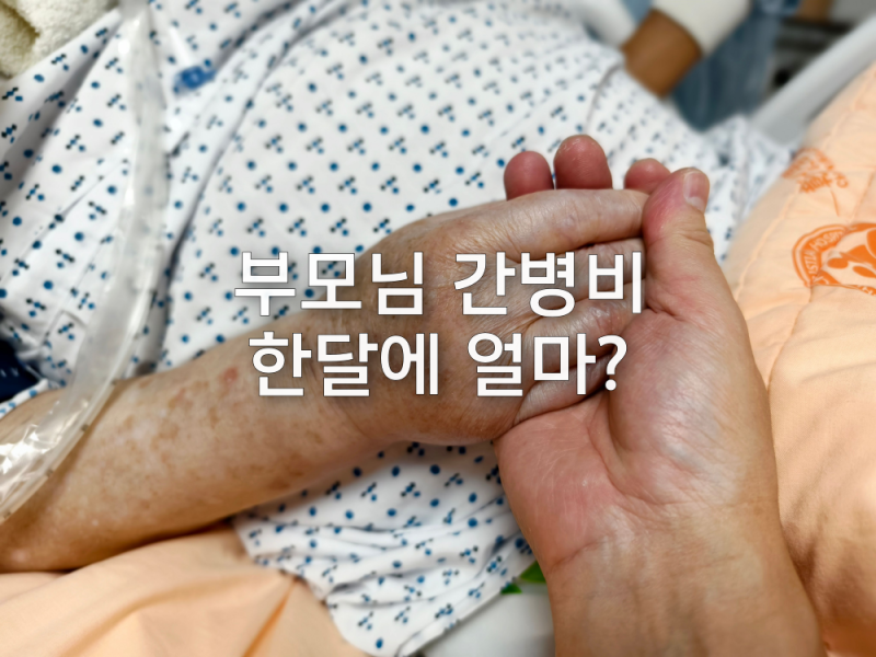 부모님 간병비, 한 달에 얼마나 들까요?