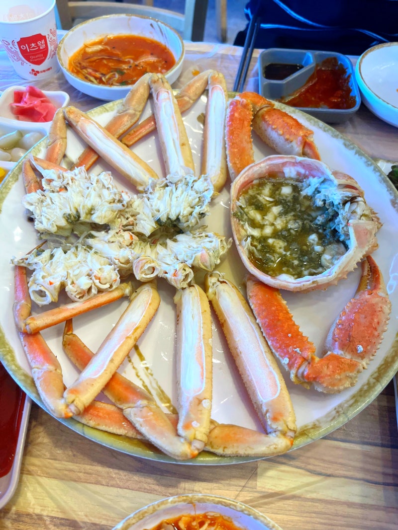 속초 맛집 횟집 속초 대게 맛집 대포항 수산시장 S동 근처 팔팔회센타 속초대포항시장점 대....