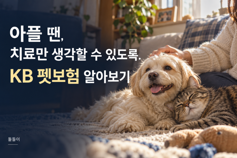 KB 펫보험 알아보기｜강아지·고양이 병원비 보장부터 보험료·청구서류까지