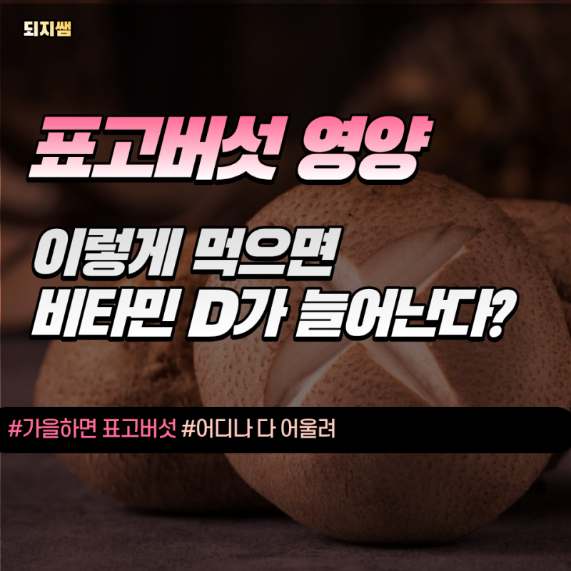 냉장고에서 물러가는 표고버섯, 햇볕에 펼쳐두면 보관보다 더 좋은 이유