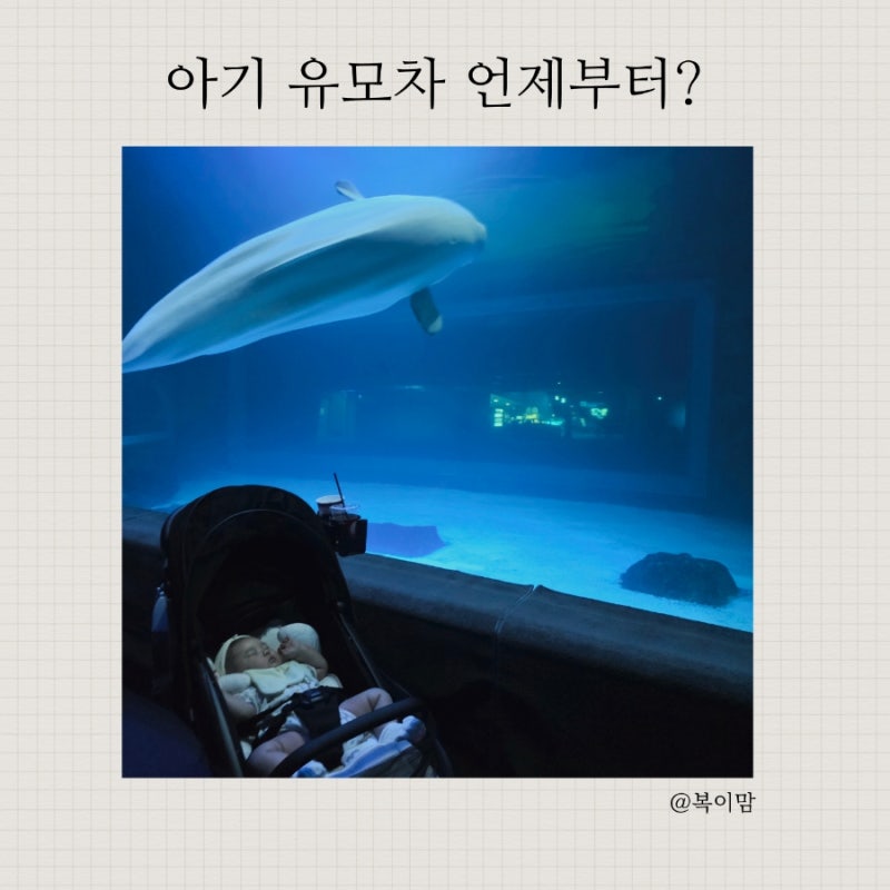 아기 유모차 언제부터 사용할까? 60일부터 휴대용 유모차를 사용한 이유