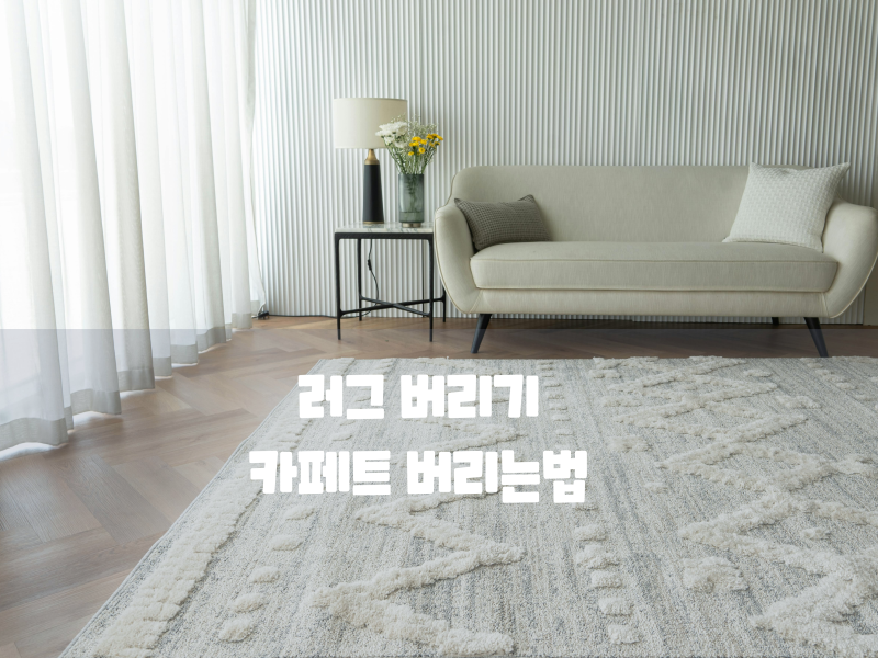 종량제 봉투에 넣어도 될까? 러그 버리기 카페트 버리는법 재질별 배출 방법