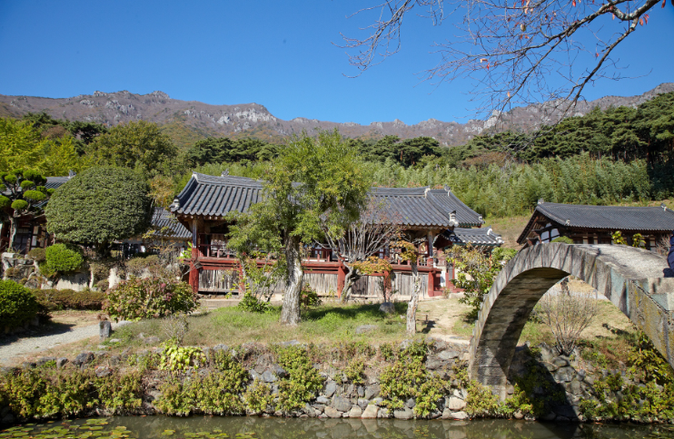 양산 통도사 메밀밭 | 위치·주차·개화시기·극락암 코스 총정리