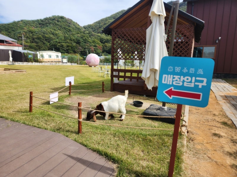 포천 가볼만한곳 포프곤충테마파크, 아이와 함께 알차게 다녀왔어요