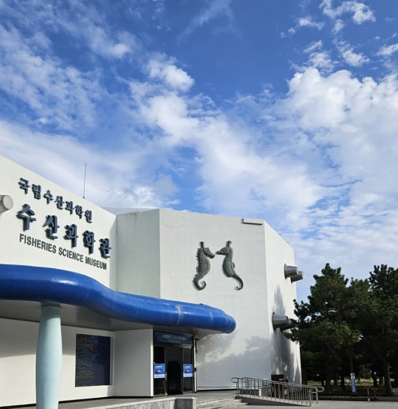 부산아이랑가볼만한곳 부산국립수산과학관/기장아이랑갈만한곳 부산해루질