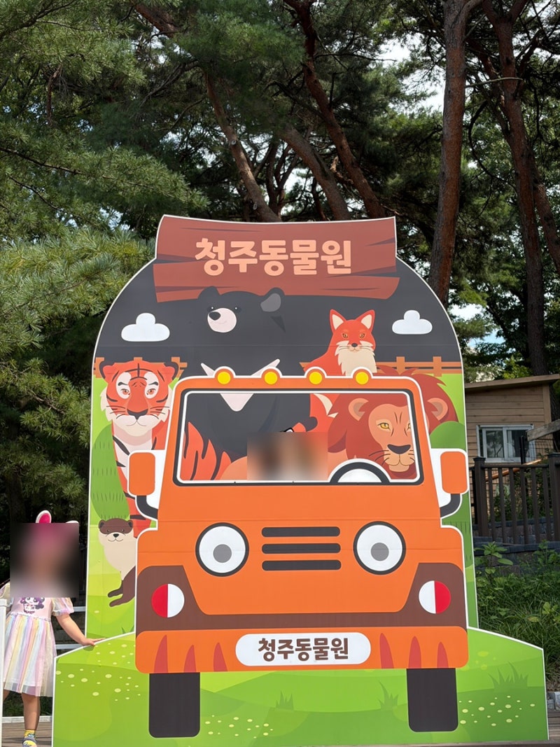 청주 아이와 가볼만한곳｜청주동물원 & 청주랜드 놀이공원 10월 나들이