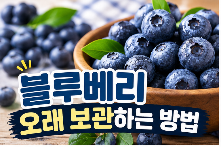 블루베리 오래 보관하는 방법