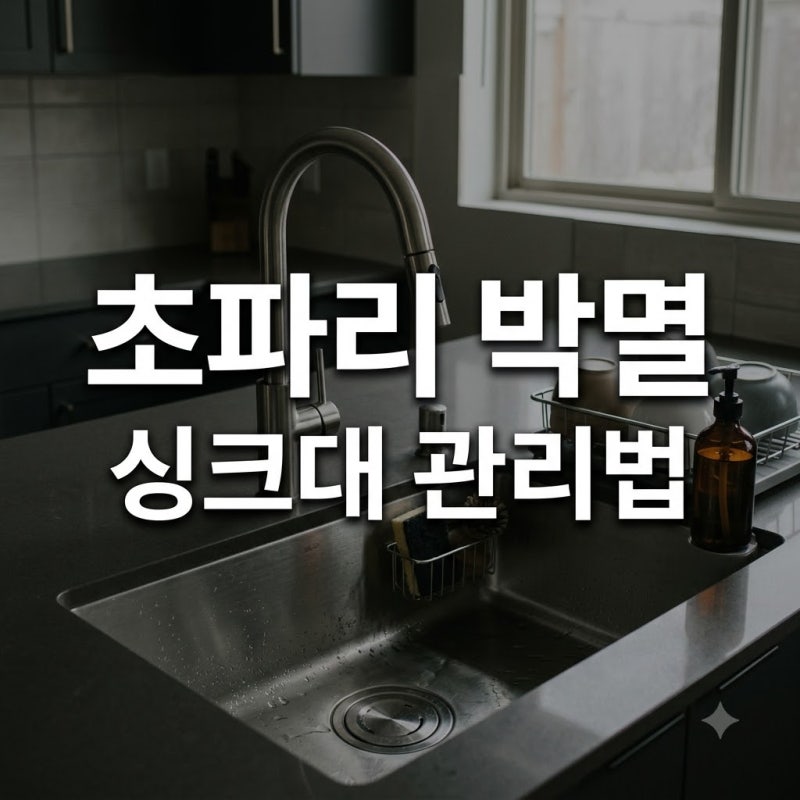 싱크대 초파리 없애는 법, 100% 박멸을 위한 청소와 트랩 만들기