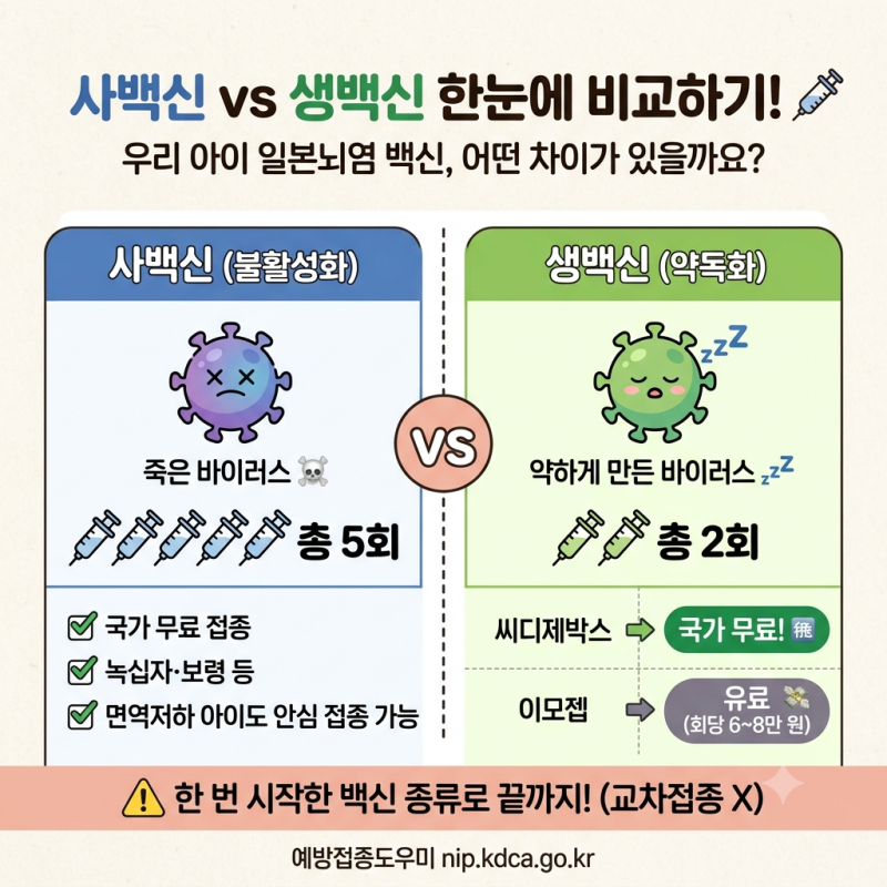 돌접종 일본뇌염 사백신 vs 생백신, 종류·횟수·비용 비교 (2026)