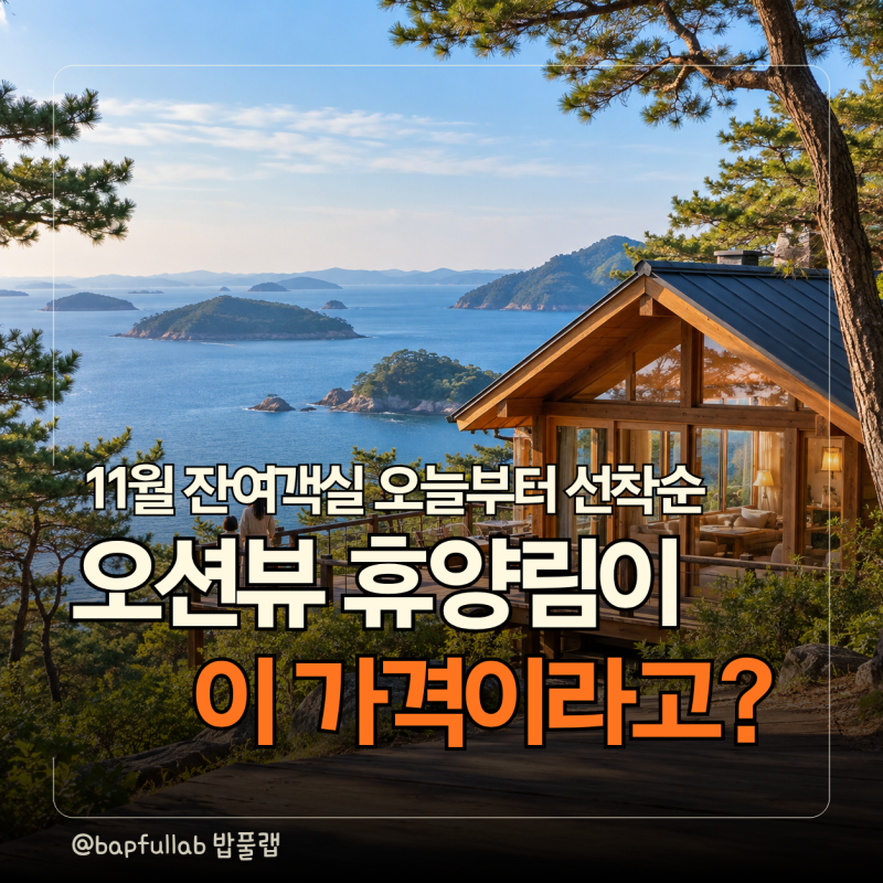 [보령 원산도자연휴양림] 오션뷰 숙소가 3만 원대? 11월 예약 전 '이것' 모르면 당황해요