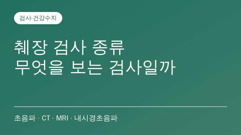 췌장 검사는 어떻게 하나요? 복부초음파·CT·MRI·내시경초음파가 보는 것과 병원 가야 할 증....