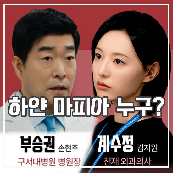 쿨한 용병 의사 닥터X : 하얀 마피아의 시대 등장인물 관계도 출연진