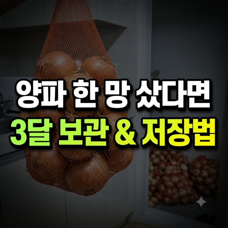 양파 한 망 대량소비 완벽 가이드: 3달 보관법 & 두고두고 먹는 만능 저장 레시피 3선