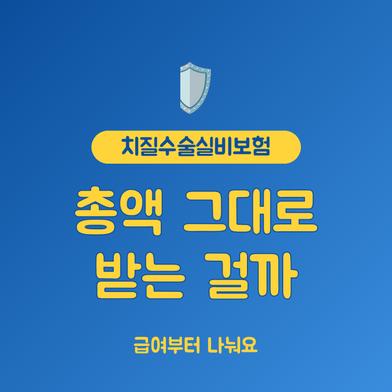 치질수술실비보험 급여비용, 영수증에서 보장 범위를 나누는 3가지