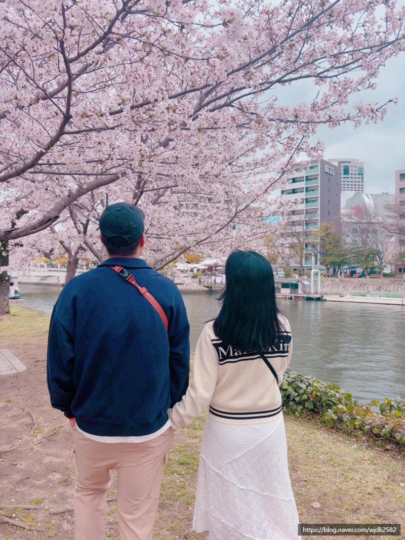 히로시마 4인 가족여행 2일차 코스 | 원폭돔 아침 러닝 + 평화공원 벚꽃 산책 코스