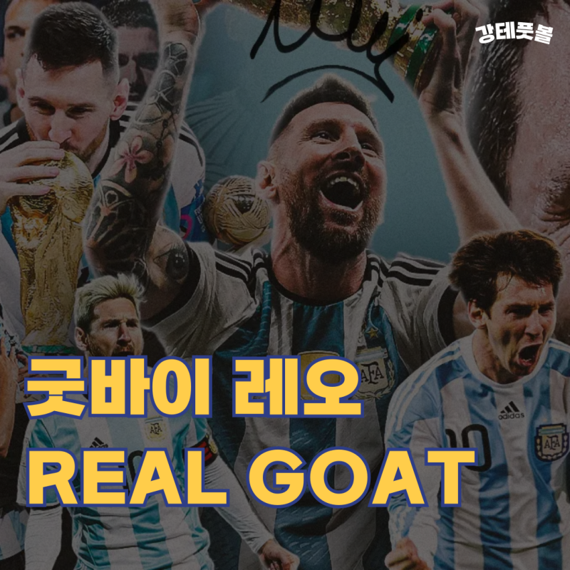리오넬 메시, 아르헨티나 대표팀 은퇴 및 고별전 (황금시대에 마침표를 찍다)