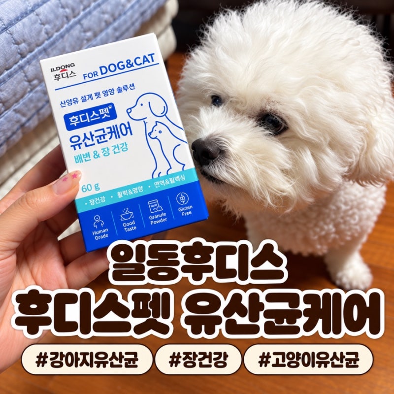 [강아지 유산균 추천] 후디스펫 유산균케어 7살 비숑 남매 장건강 영양제 후기