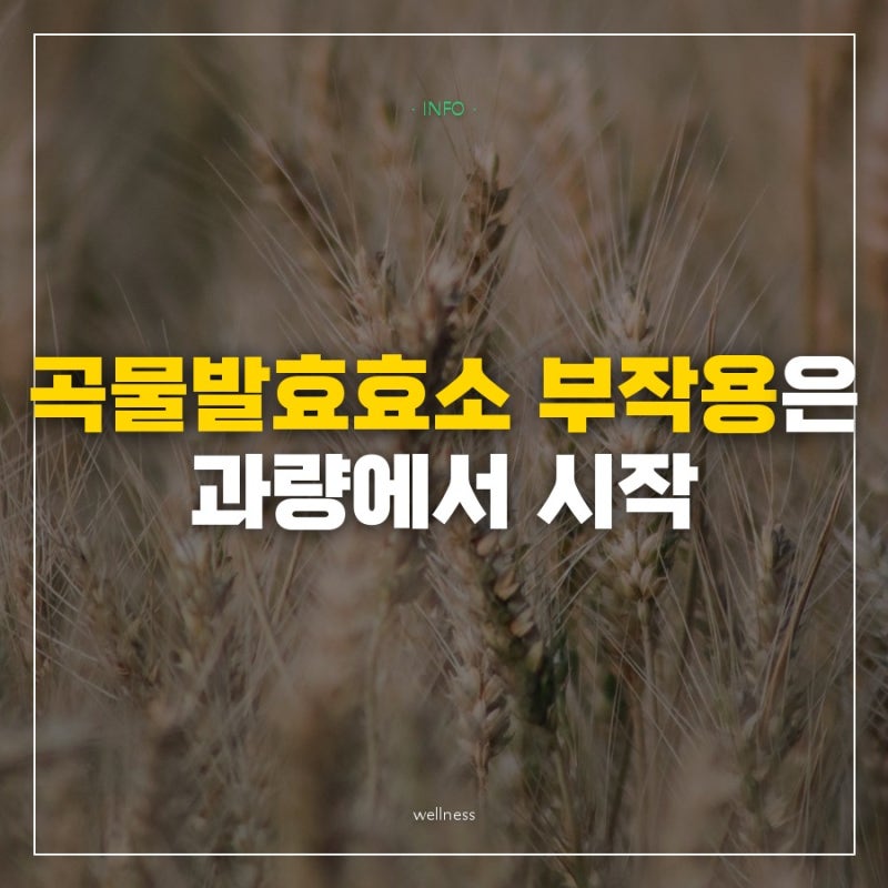 "곡물발효효소 역가 높다길래 두 포씩 먹었는데" 배가 더부룩해진 의외의 이유