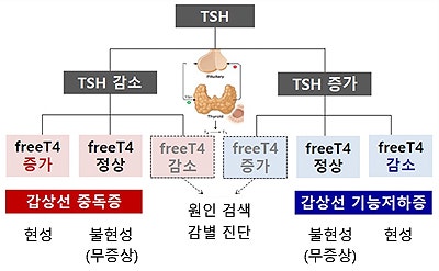 무증상 갑상선기능저하증(subclinical hypothyroidism)