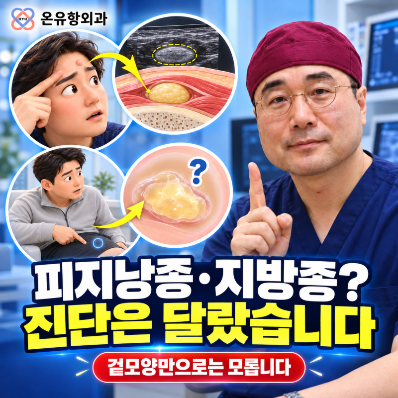 영통구 피지낭종과 지방종인 줄 알았던 멍울, 검사 결과는 달랐습니다