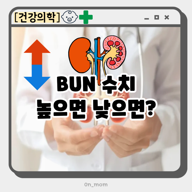 BUN수치 높으면 신장 기능 저하? 크레아티닌 사구체여과율 정상수치