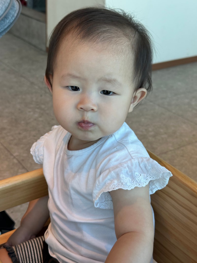11개월 아기 후기이유식 기록 (32) 먹는 양 레시피 이유식 식단표